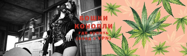 ешки Новодвинск