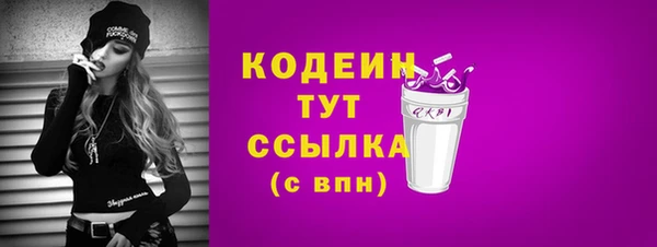 ешки Новодвинск