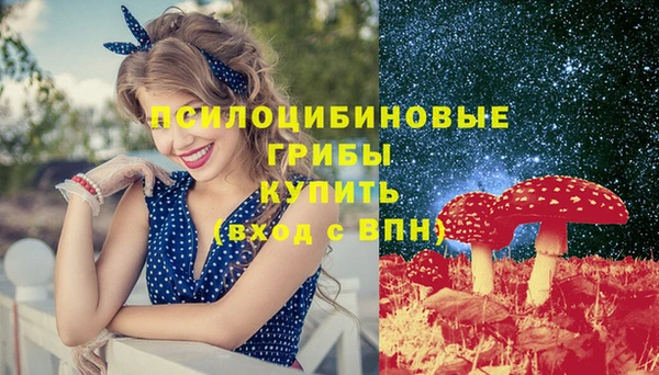 ешки Новодвинск