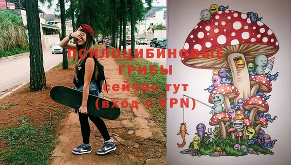 МДМА Новозыбков