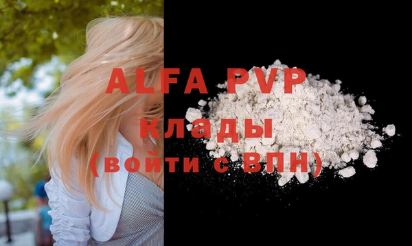 ешки Новодвинск