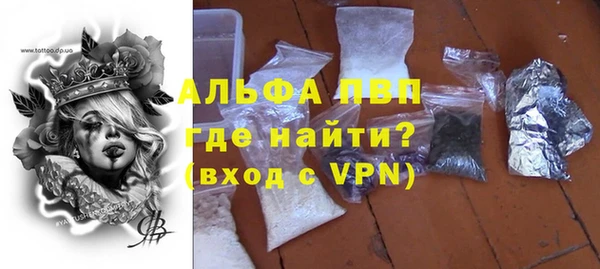 ешки Новодвинск